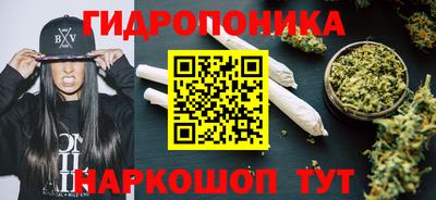 герыч Можга