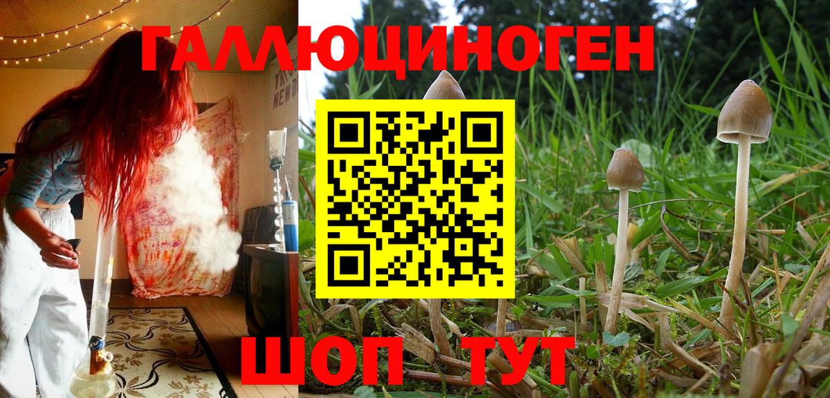 Галлюциногенные грибы MAGIC MUSHROOMS Великий Новгород