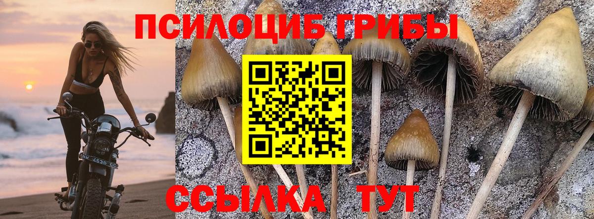 Галлюциногенные грибы ЛСД Великий Новгород
