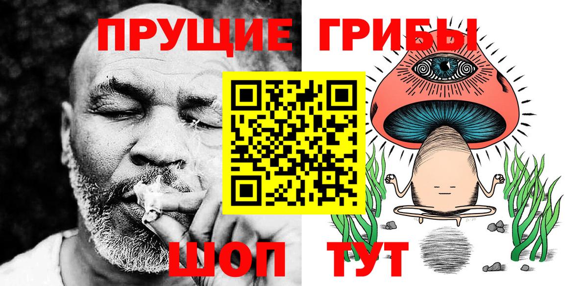 Великий Новгород  Псилоцибиновые грибы MAGIC MUSHROOMS  Псилоцибиновые грибы прущие грибы  Вход с VPN 